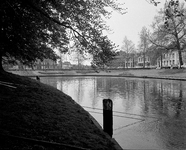 851735 Gezicht over de Stadsbuitengracht te Utrecht, vanaf het singelplantsoen; op de achtergrond de Catharijnesingel, ...